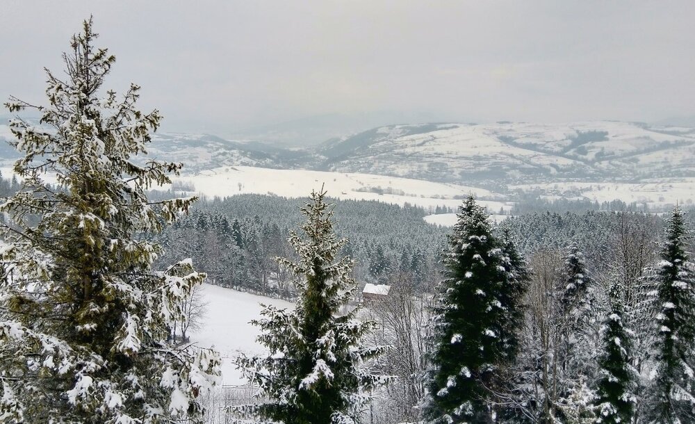 Dolina Porębianki.jpg