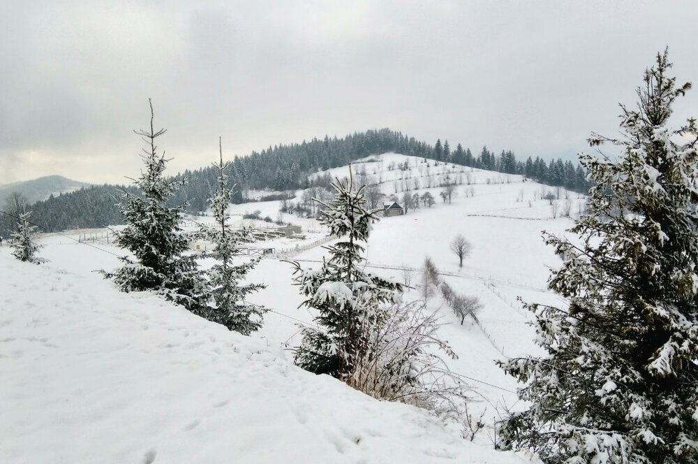 Starmachowski Groń.jpg