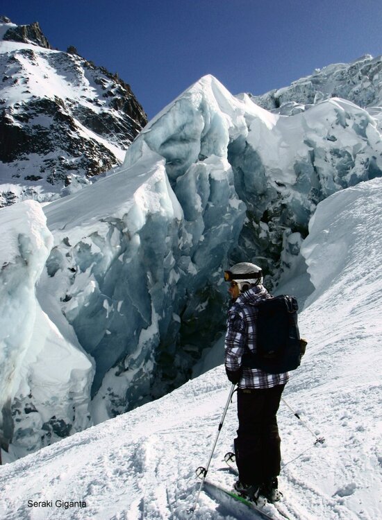 f_e09b_d_seraki Giganta.jpg