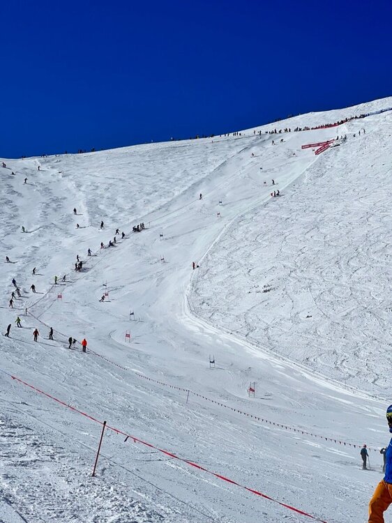 IMG_0545 Duży.jpeg