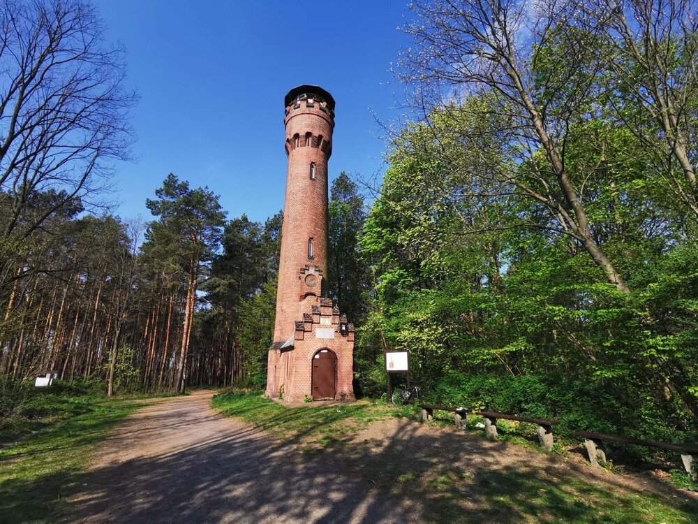 IMG_20220502_091735 ZG - G Wilkanowska.jpg