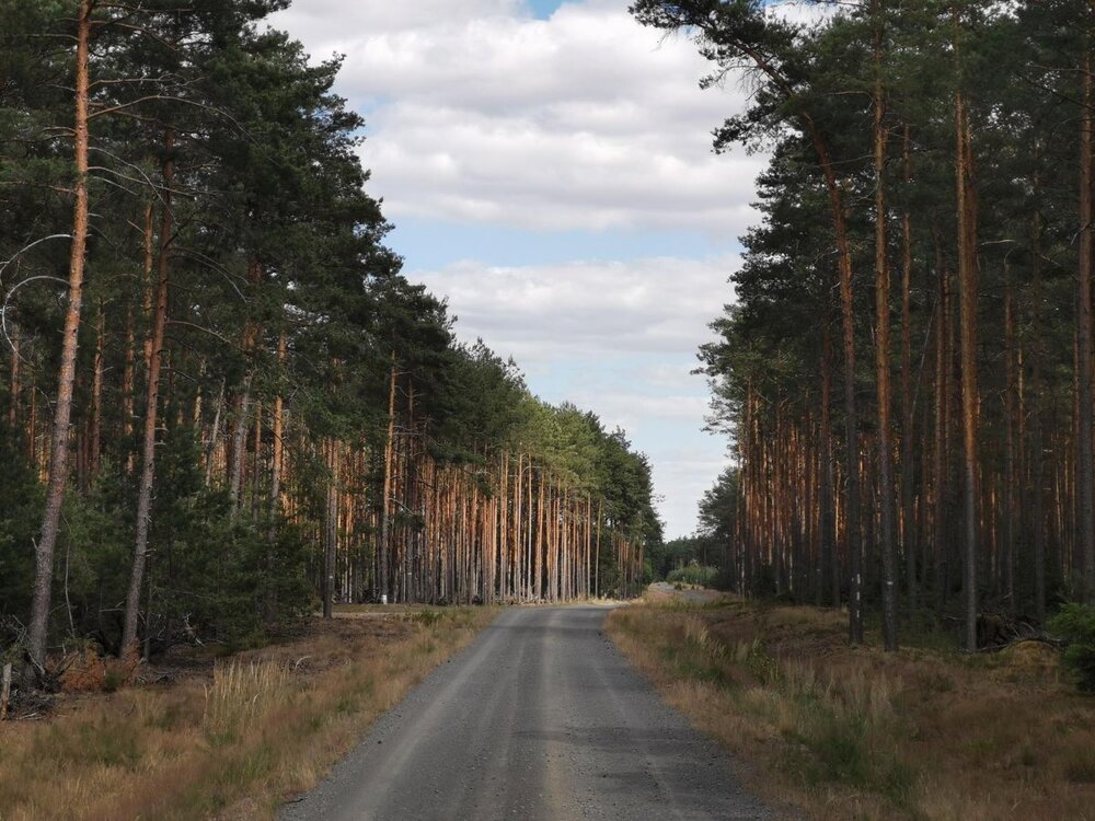 IMG_20190703_155952 Bolesławiec Trasa Łużyce - Bory, Dąbrowa Boles - Kliczków P M.jpg