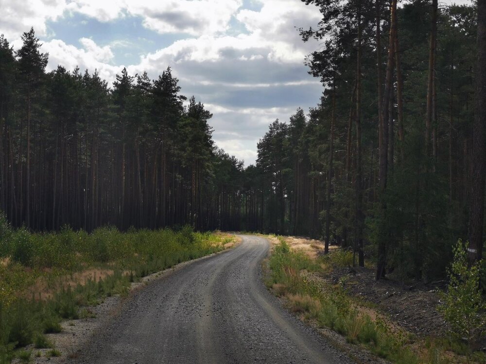 IMG_20190703_161157 Bolesławiec Trasa Łużyce - Bory, Dąbrowa Boles - Kliczków P M.jpg