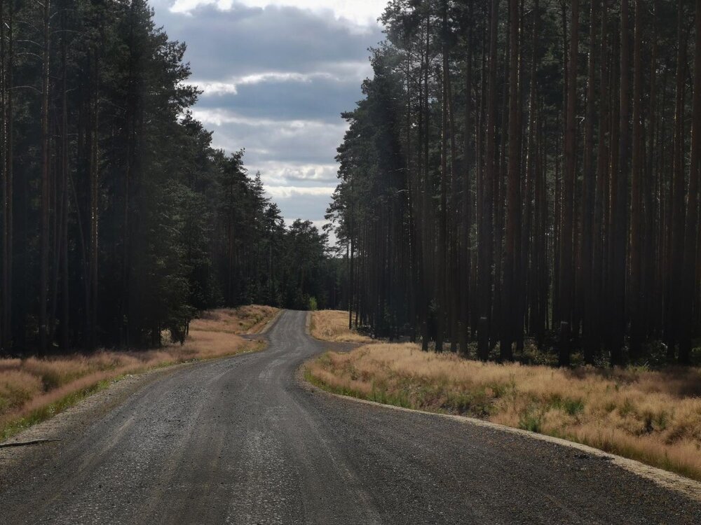 IMG_20190703_161457 Bolesławiec Trasa Łużyce - Bory, Dąbrowa Boles - Kliczków P M.jpg