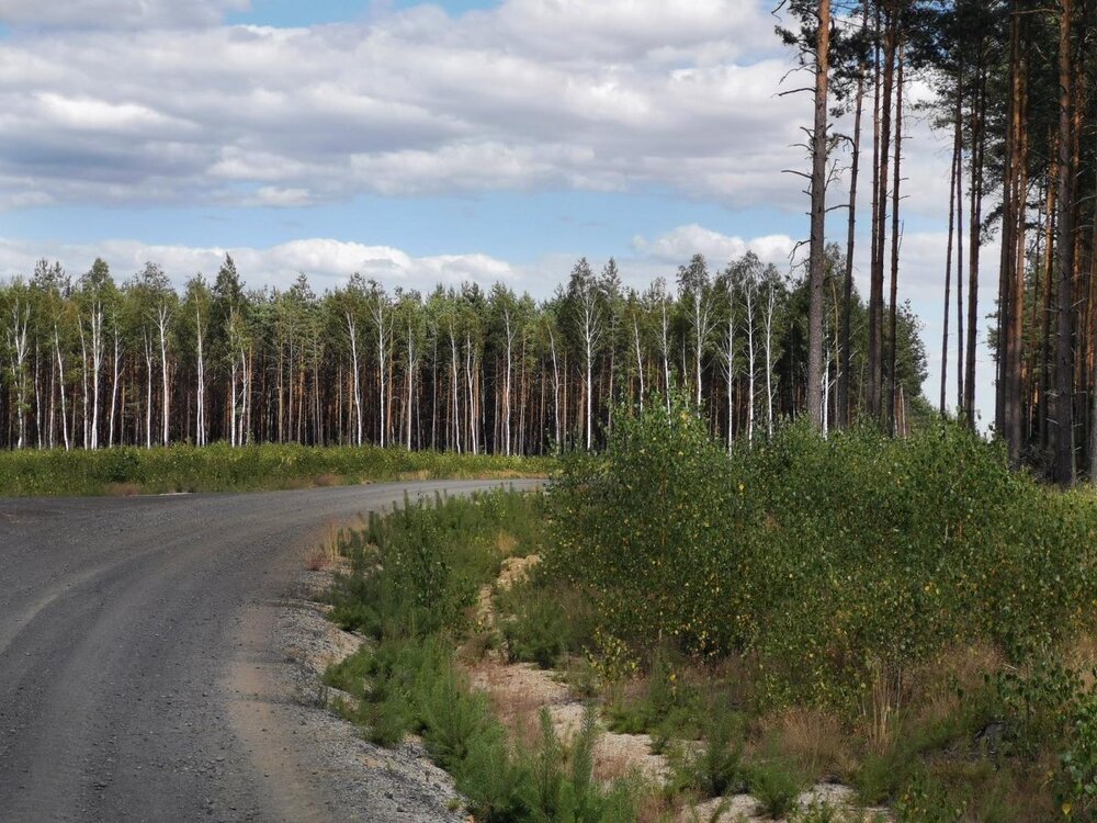 IMG_20190703_161220 Bolesławiec Trasa Łużyce - Bory, Dąbrowa Boles - Kliczków P M.jpg