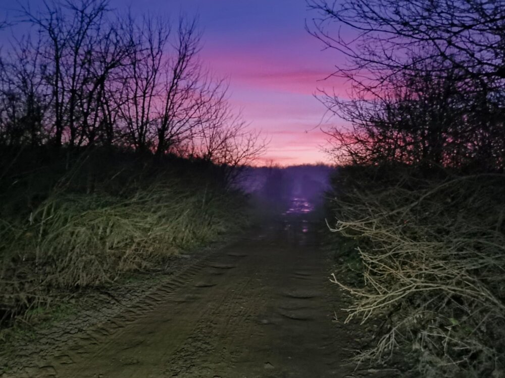 IMG_20241227_165548 P K.jpg