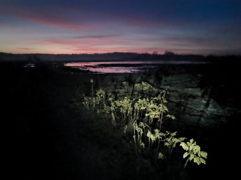 IMG_20241227_165046 P K.jpg