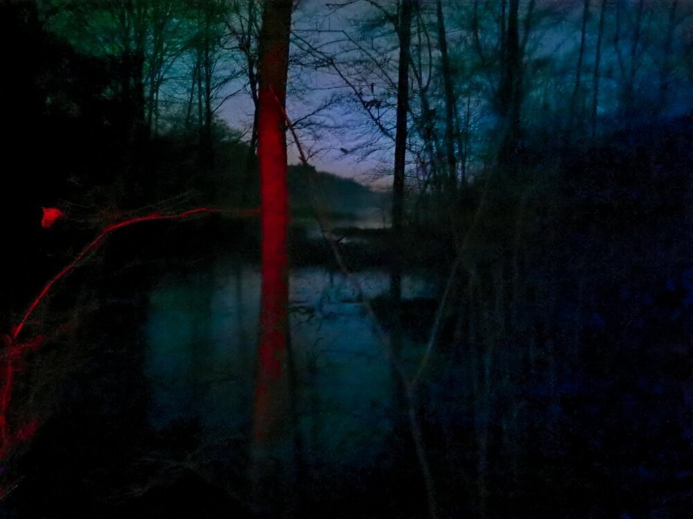 IMG_20241227_173239 P.jpg