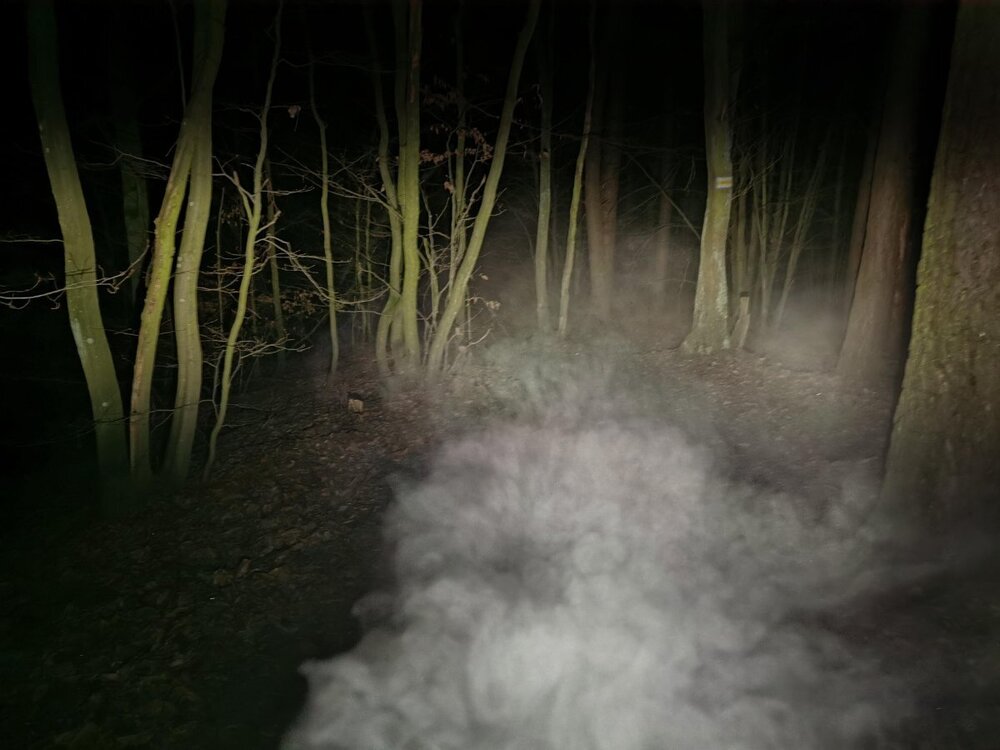 IMG_20241227_172445 P.jpg