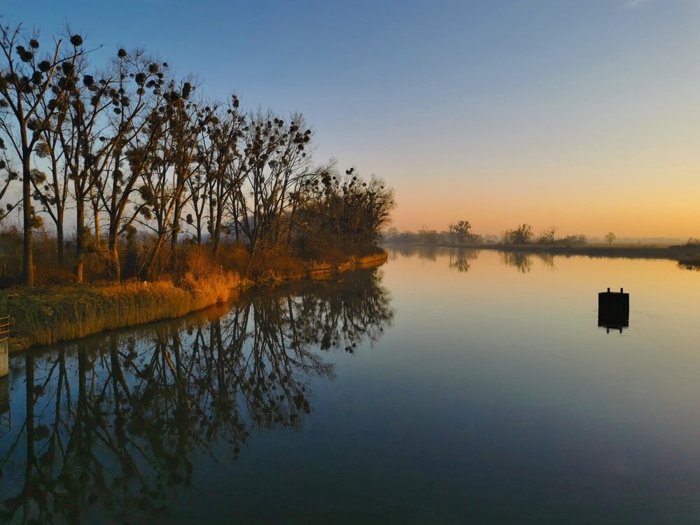 IMG_20241227_151905 P K.jpg