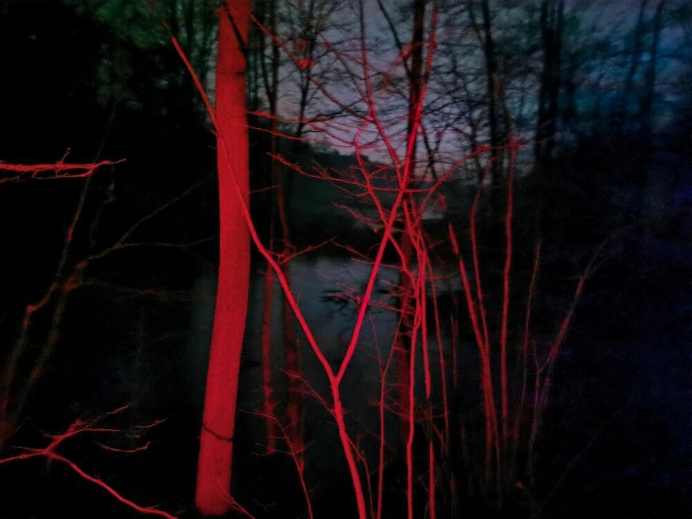 IMG_20241227_173323 P K.jpg