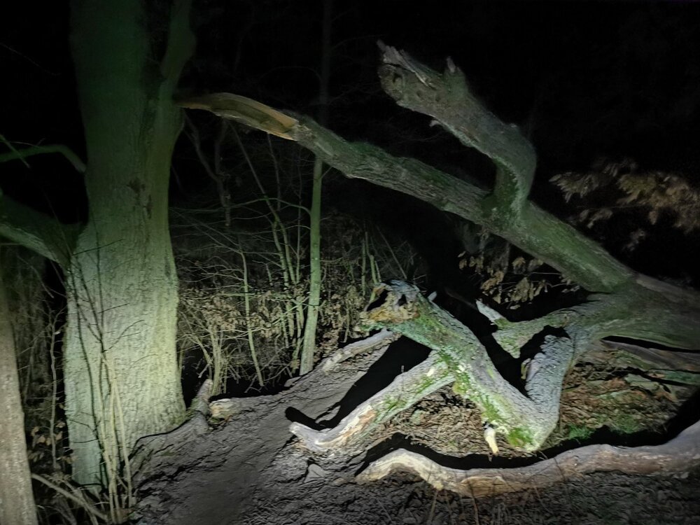 IMG_20241227_172141 P.jpg