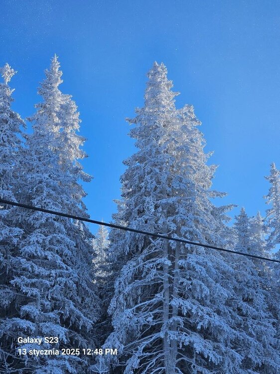 3 Chpok o poranku.....jpg