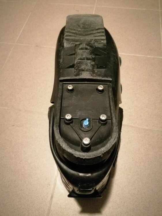 SALOMON 5.0 Evolution''.jpg