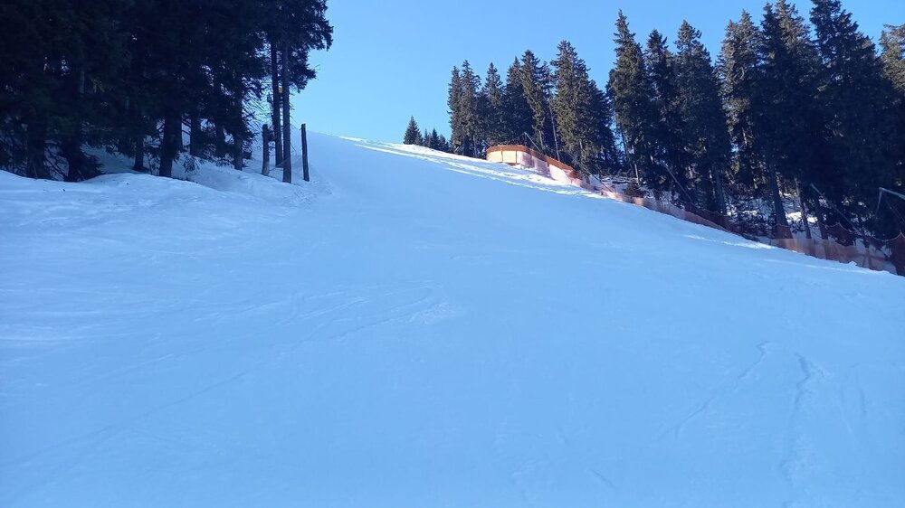 WhatsApp Image 2025-02-22 at 19.08.03.jpeg