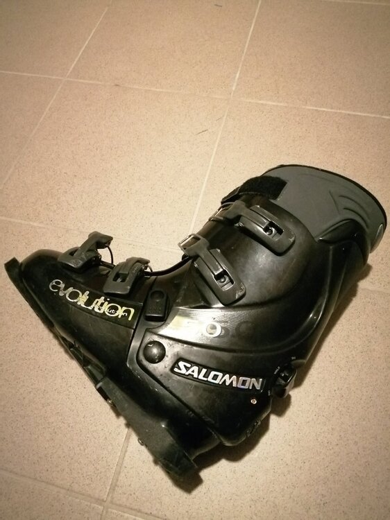 SALOMON 5.0 Evolution.jpg