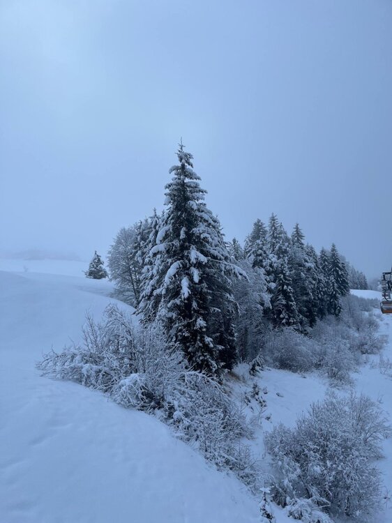 2026-02-01 09.52.23.jpg