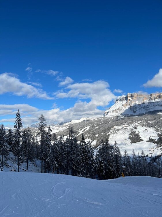 2026-02-01 09.51.02.jpg