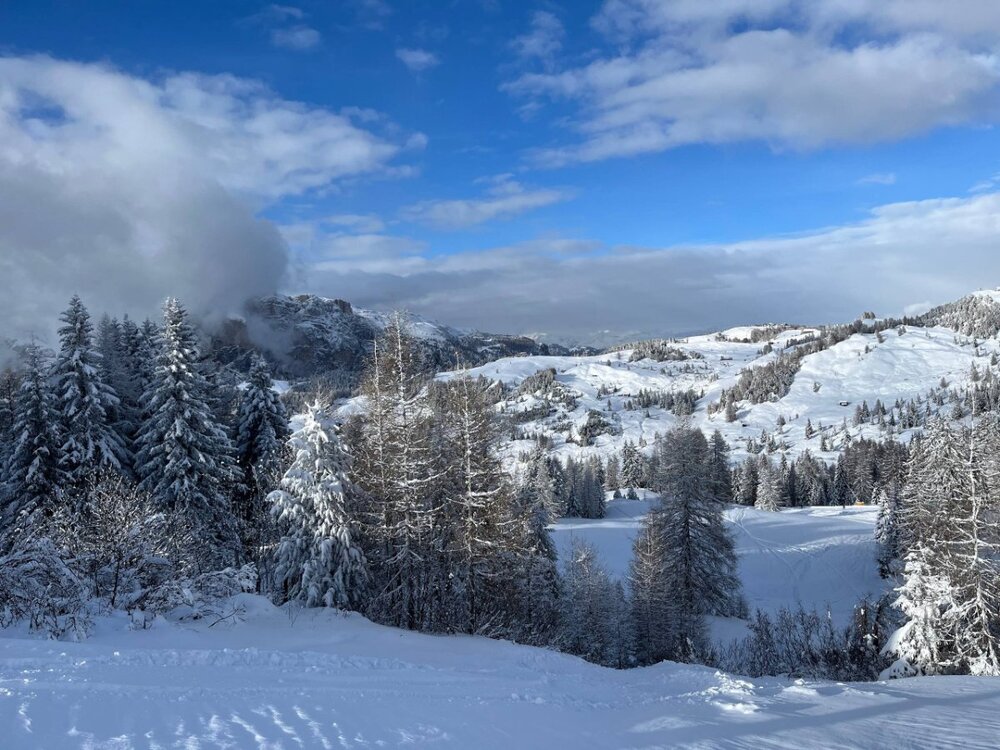 2026-02-01 09.51.40.jpg