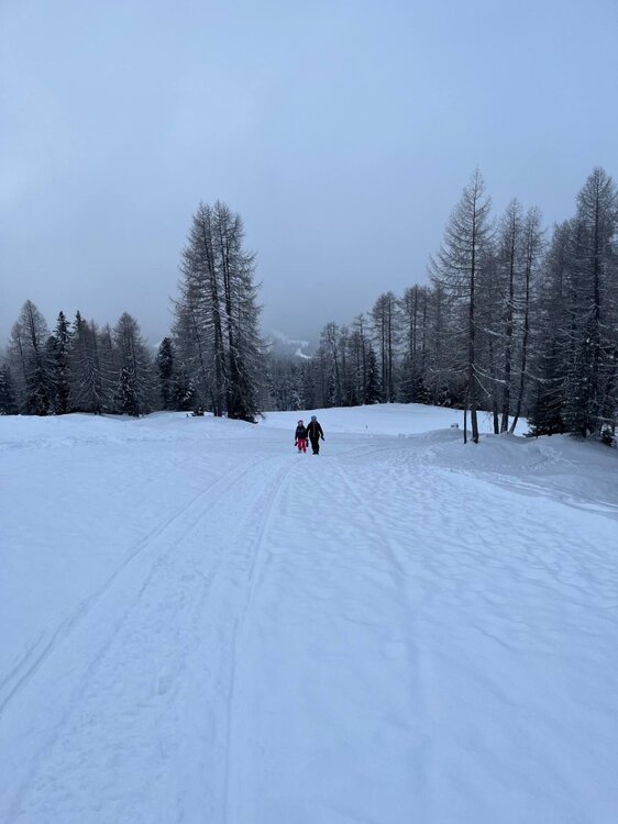 2026-02-01 09.52.33.jpg