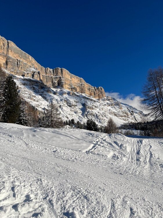 2026-02-01 09.51.07.jpg