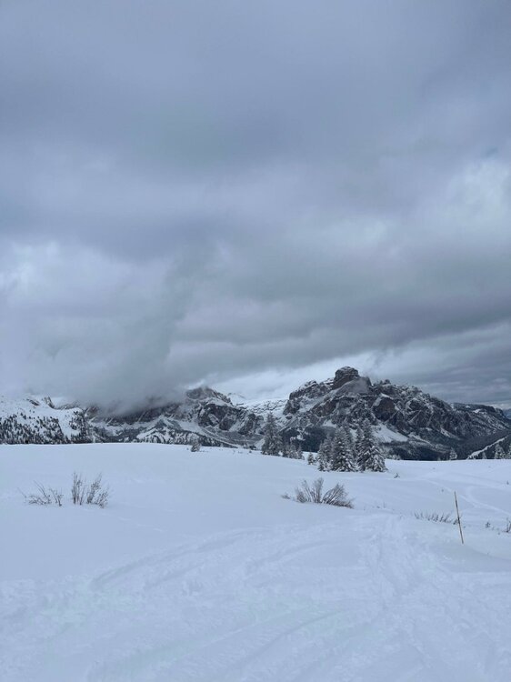 2026-02-01 09.51.24.jpg