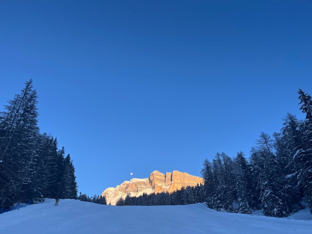 2026-02-01 09.50.01.jpg