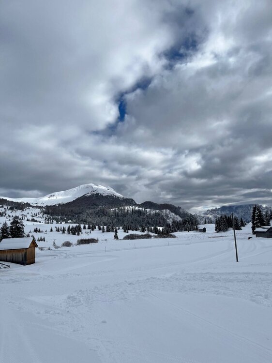 2026-02-01 09.51.20.jpg