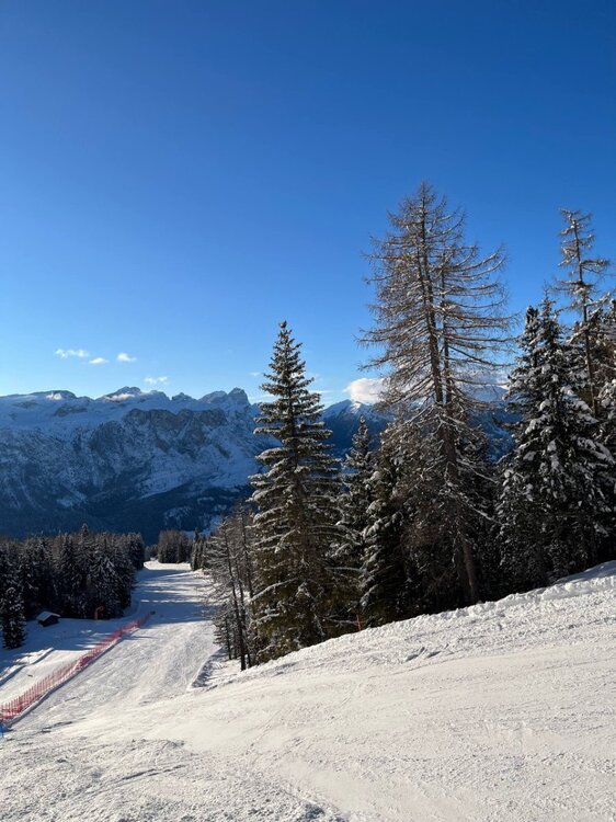 2026-02-01 09.50.37.jpg