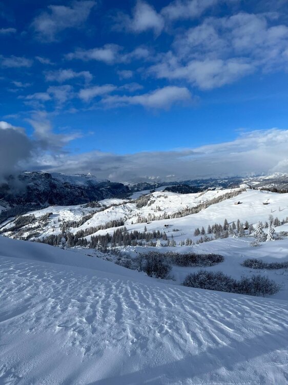 2026-02-01 09.51.44.jpg