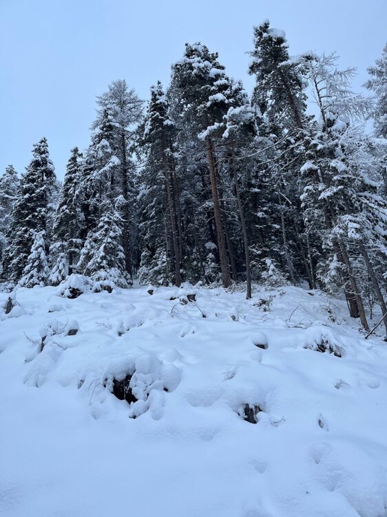 2026-02-01 09.52.20.jpg