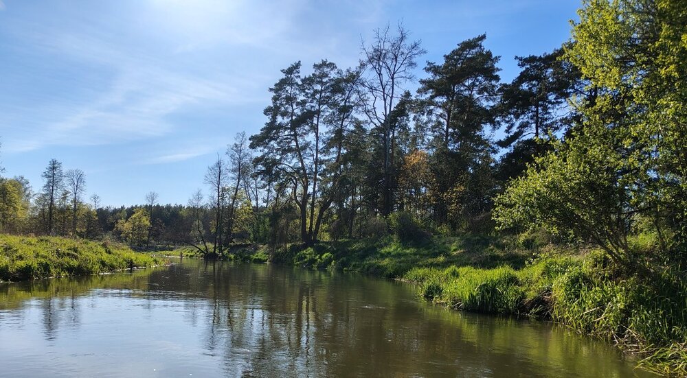 IMG_20260502_163554572_HDR.thumb.jpg.7a1a77ea9b2ff3df9bc426f9ee18e76f.jpg