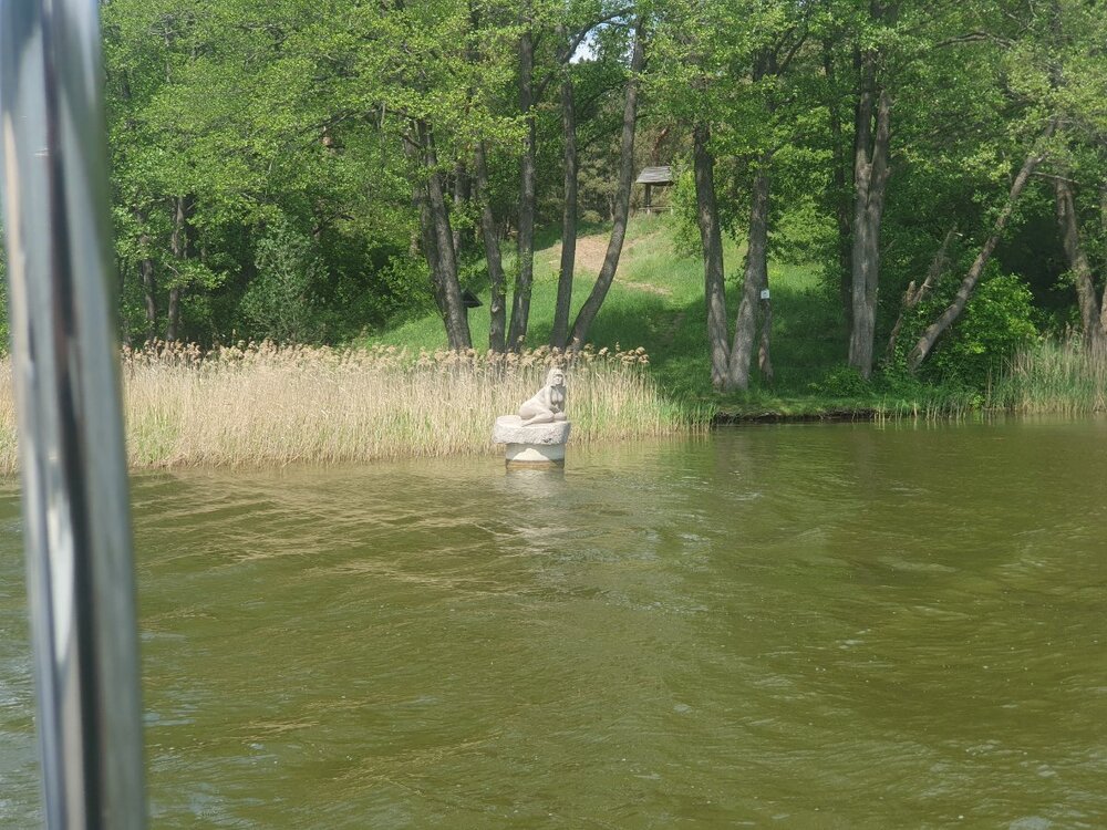 20260524_132044.thumb.jpg.cd73aa8fe93d56d99516e1dc6c6c6282.jpg