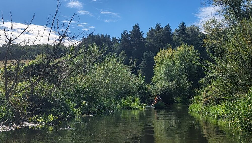 IMG_20260830_103320756_HDR.thumb.jpg.454123c8fad79c2a54064f678eaa1fe8.jpg