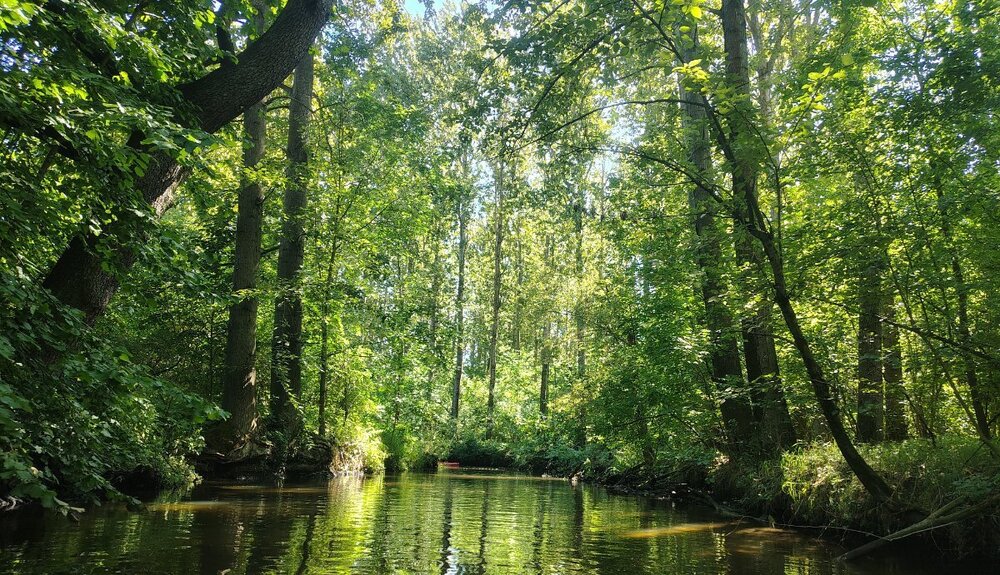 IMG_20260830_114430294_HDR.thumb.jpg.ddffde052cff03996eaeba15d46787b0.jpg