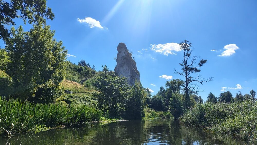 IMG_20260830_115349366_HDR.thumb.jpg.35b33e570a2201f9d7d9203086f6f418.jpg