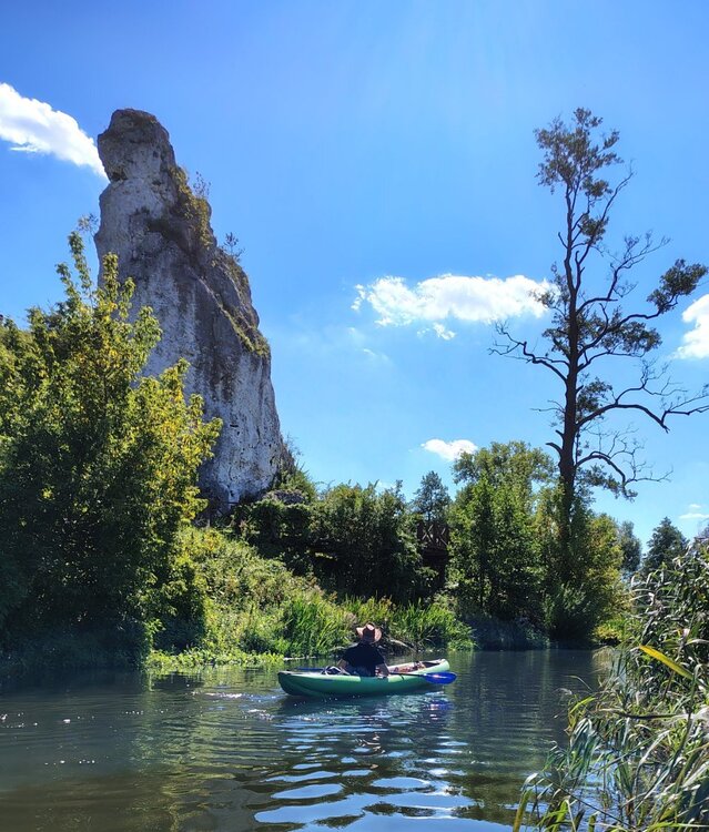 IMG_20260830_115415719_HDR.thumb.jpg.f4b11817c2dff1b8b13303d1a44dade2.jpg