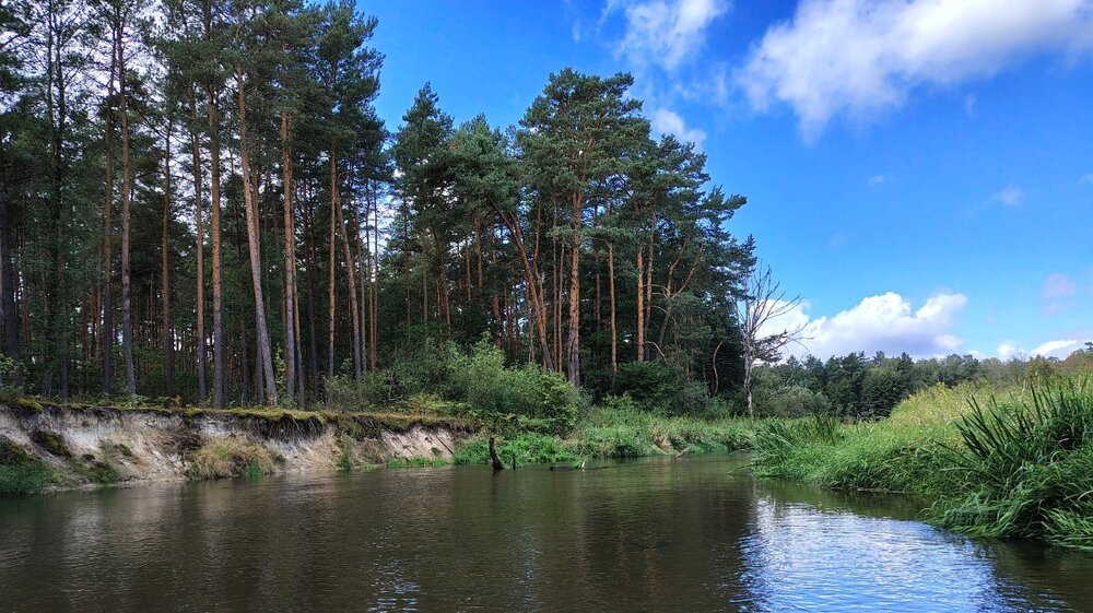 IMG_20260905_105702414_HDR.thumb.jpg.34f0463b5ec5969d90f6687f4caadd16.jpg