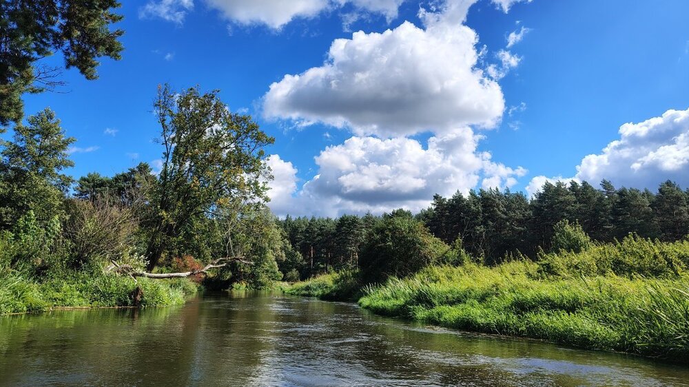 IMG_20260905_120115710_HDR.thumb.jpg.a18f1c1eff40543376daf33dd73f4352.jpg