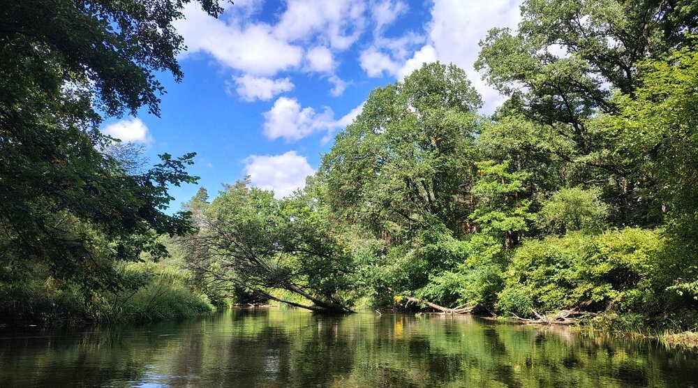 IMG_20260905_140513925_HDR.thumb.jpg.e401500f845040e91e34f449c6581f8a.jpg