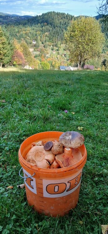 20261011_143642.jpg